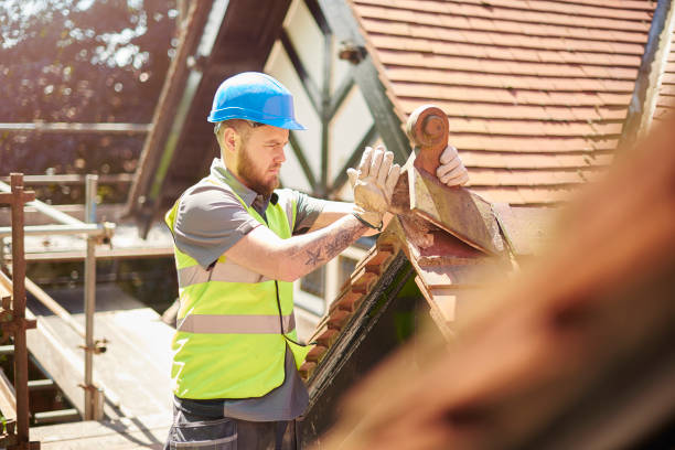 Best Roof Replacement Cost  in Ponderosa Park, CO